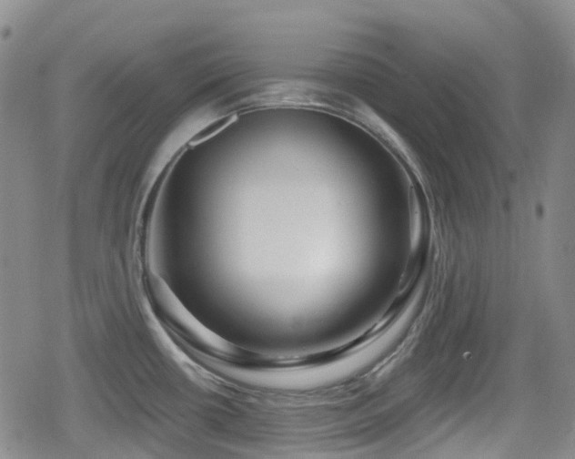 X0000080201434200612081416