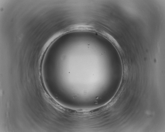 X0000080201435200612081416