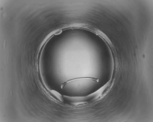 X0000080201436200612081416