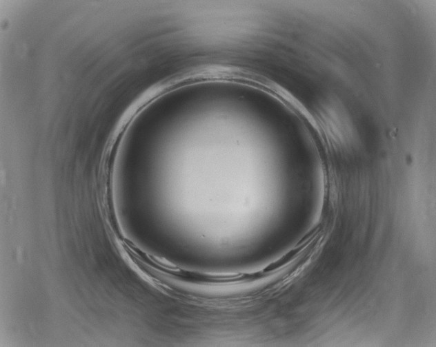 X0000080201437200612081416