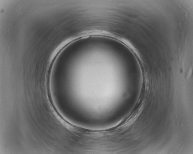 X0000080201438200612081416