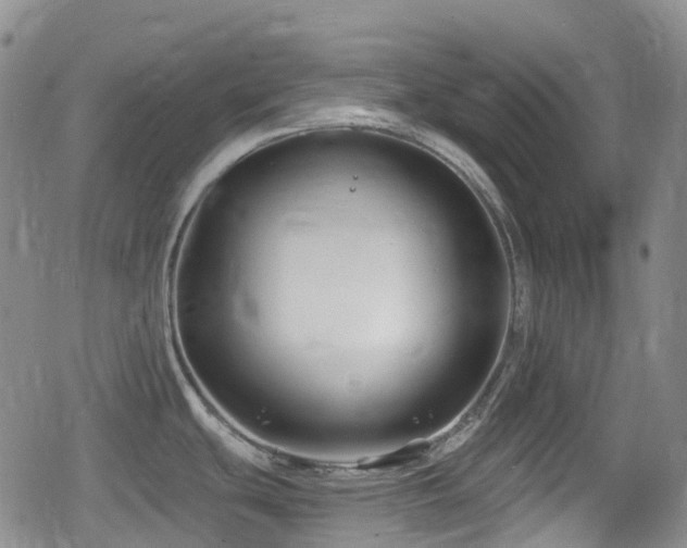 X0000080201439200612081416