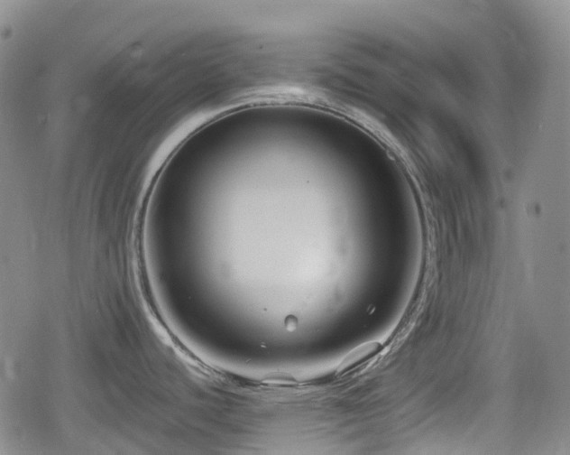 X0000080201440200612081416