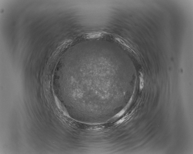 X0000080201441200612081415