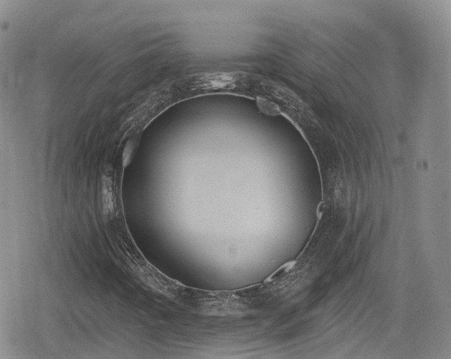 X0000080201442200612081415