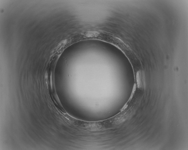 X0000080201443200612081415