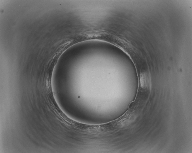 X0000080201444200612081415