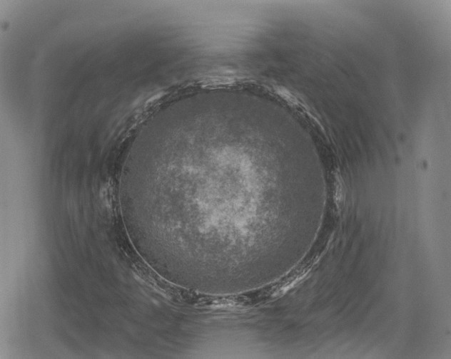 X0000080201445200612081415