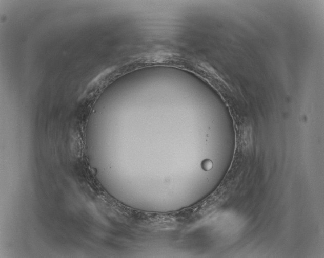 X0000080201446200612081415