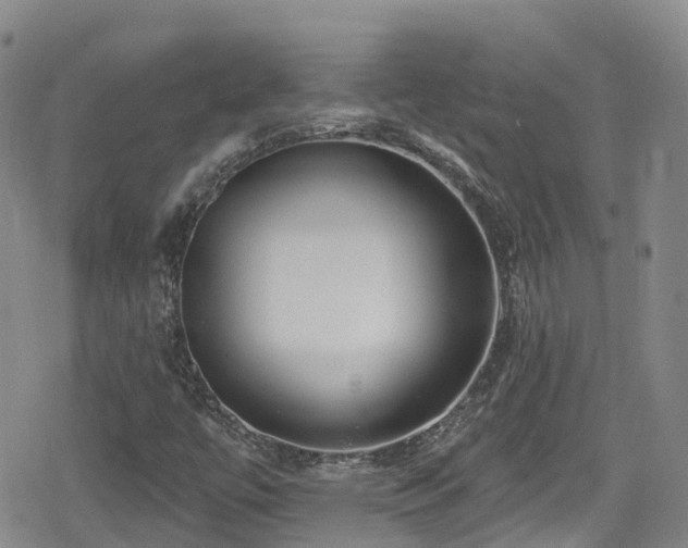 X0000080201447200612081415