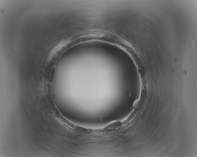 X0000080201448200612081415