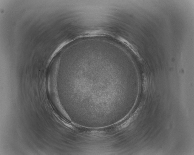 X0000080201449200612081415