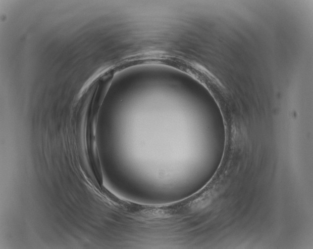 X0000080201450200612081415