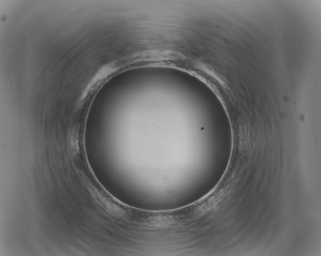 X0000080201451200612081415