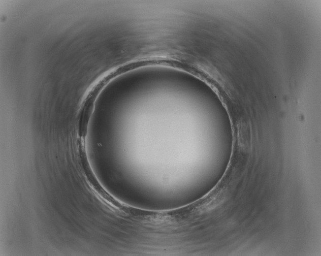 X0000080201452200612081415