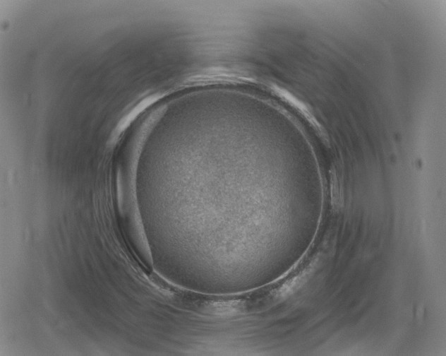 X0000080201453200612081415