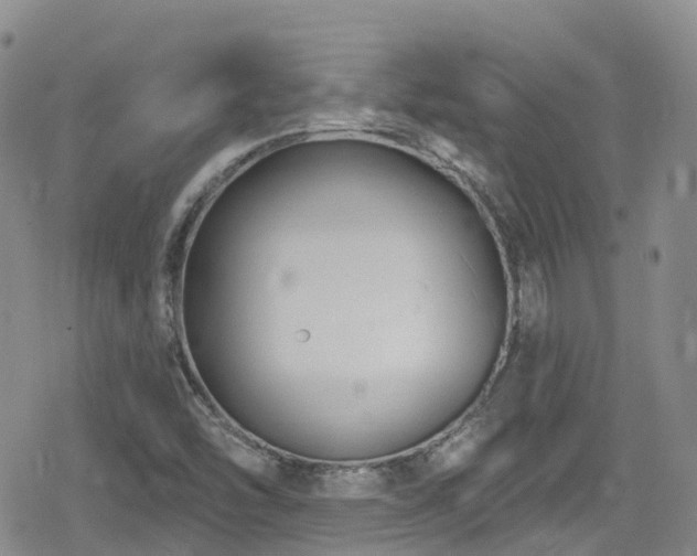 X0000080201454200612081415