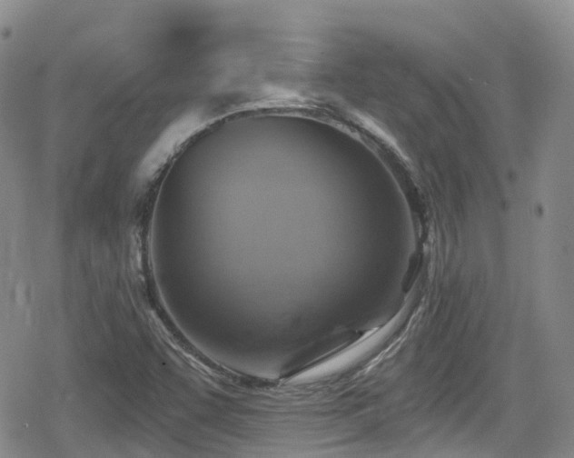 X0000080201455200612081415