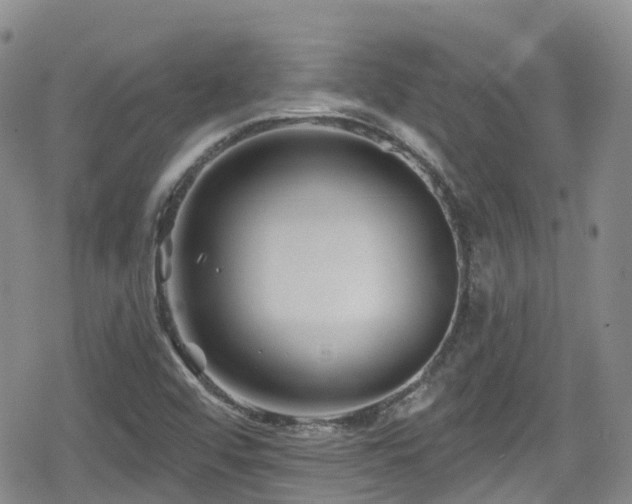 X0000080201456200612081415