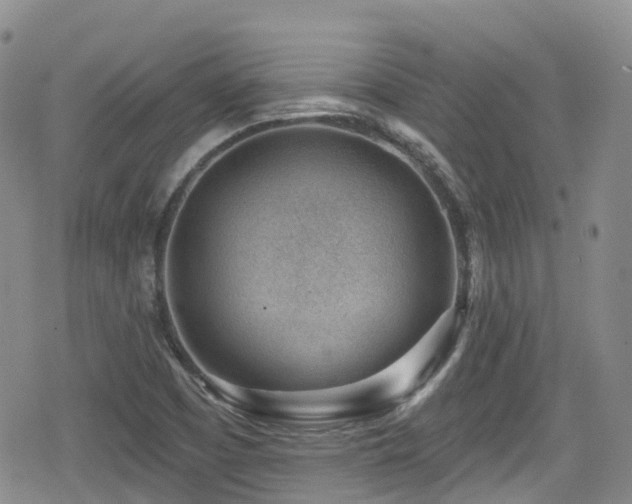 X0000080201457200612081415