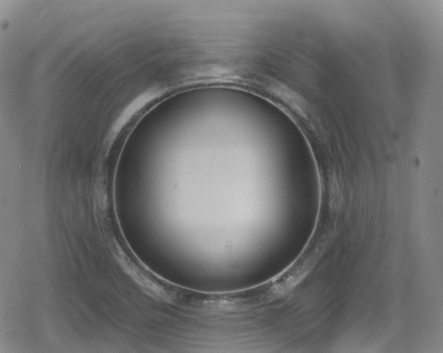 X0000080201458200612081415