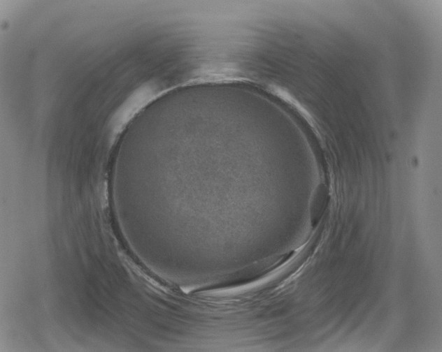 X0000080201459200612081415