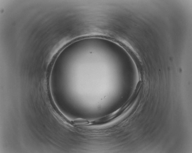 X0000080201460200612081415