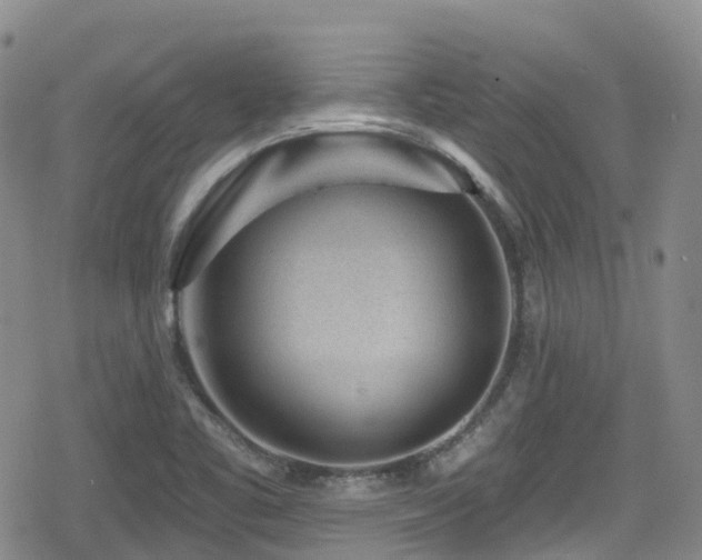 X0000080201461200612081415