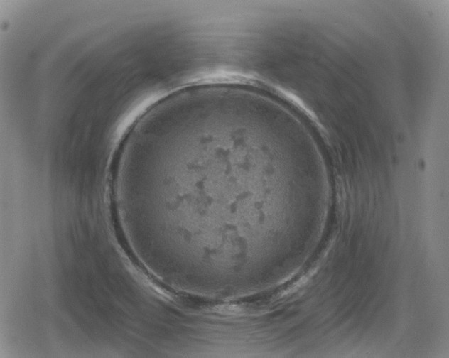 X0000080201463200612081415