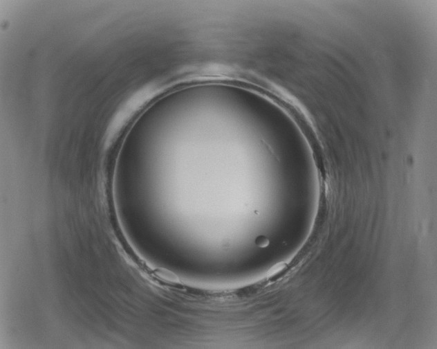 X0000080201464200612081415