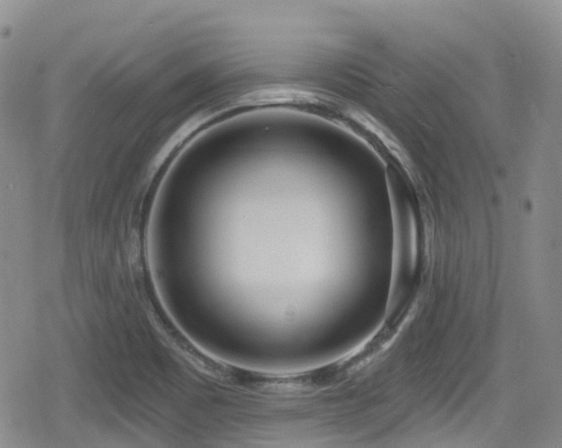 X0000080201465200612081415