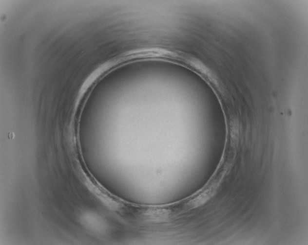 X0000080201466200612081415