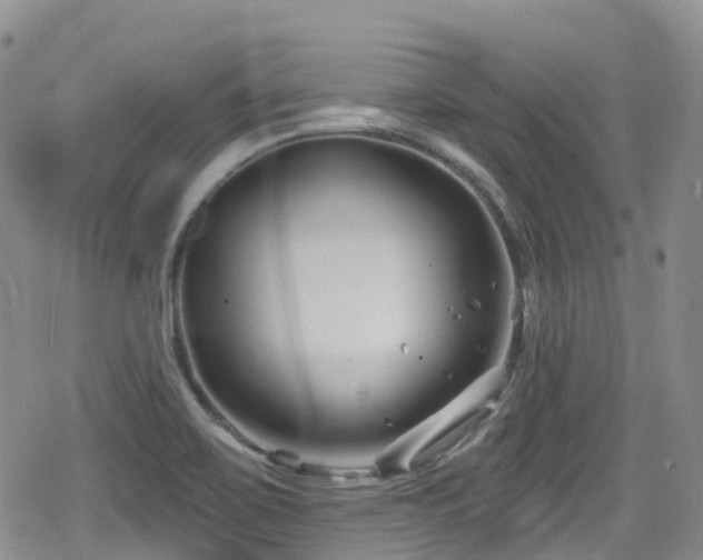 X0000080201467200612081415