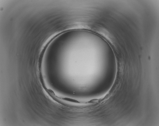 X0000080201468200612081415