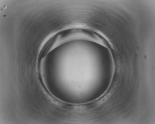 X0000080201469200612081415