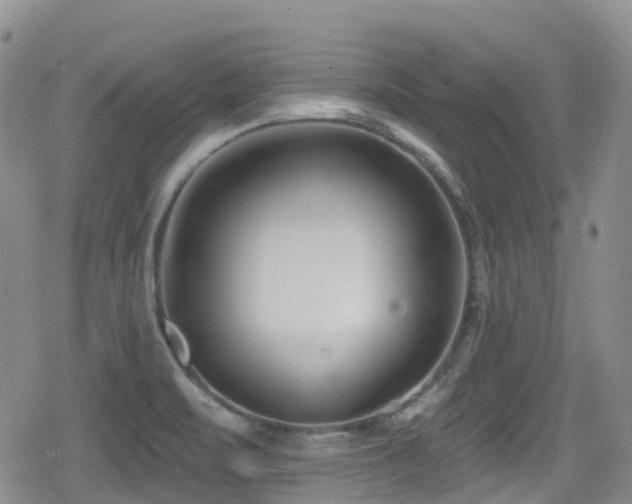 X0000080201471200612081415