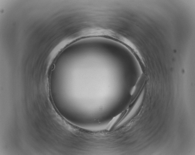 X0000080201472200612081415