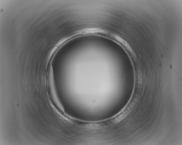 X0000080201473200612081415