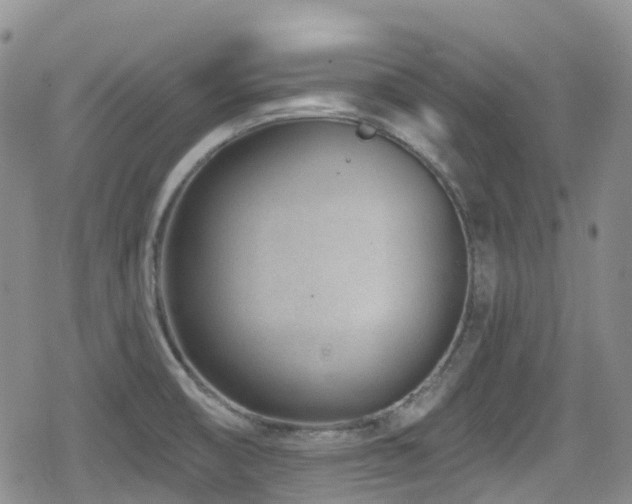 X0000080201474200612081415