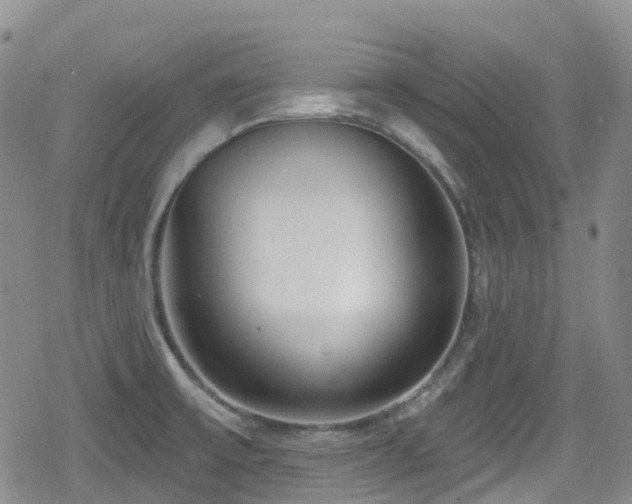 X0000080201475200612081415