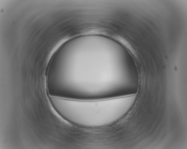 X0000080201476200612081415