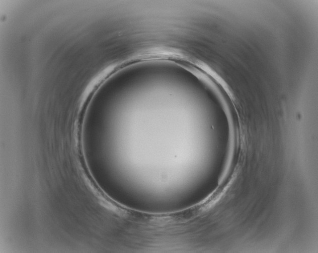 X0000080201477200612081415