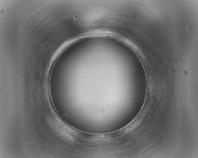 X0000080201478200612081415