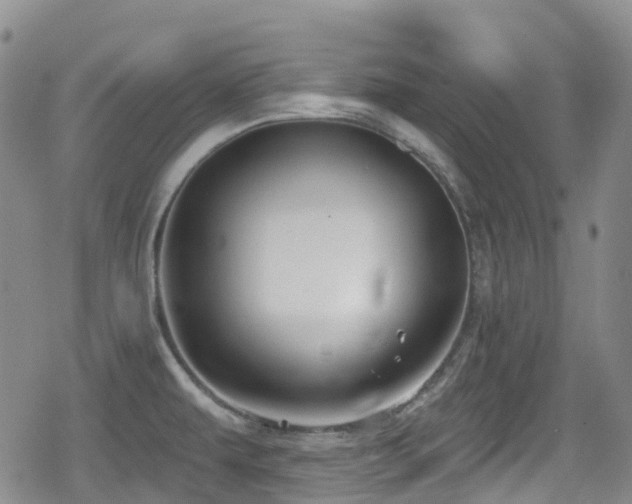 X0000080201479200612081415