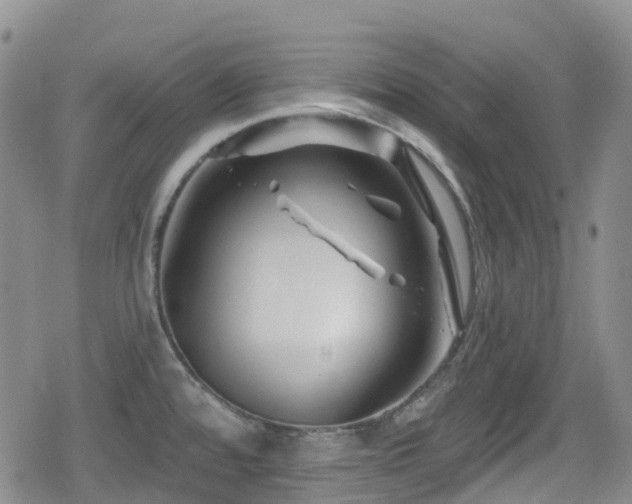 X0000080201480200612081415