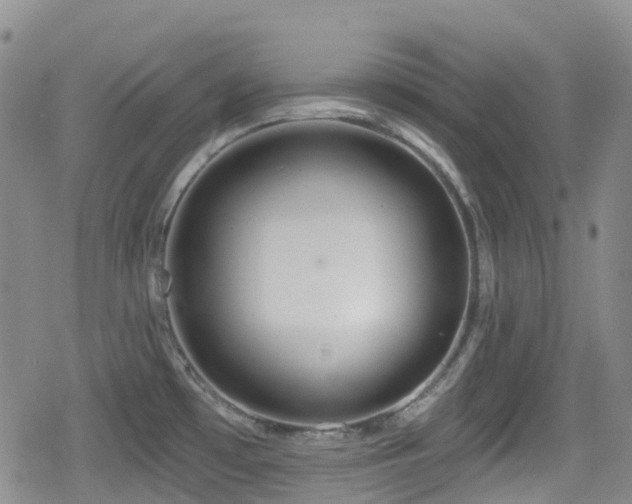 X0000080201481200612081415