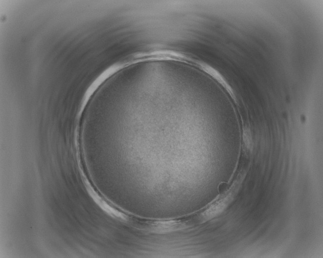 X0000080201482200612081415