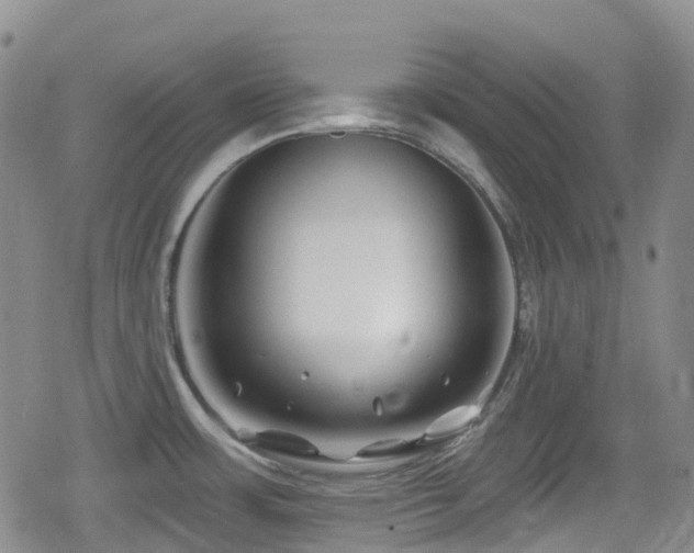 X0000080201483200612081415