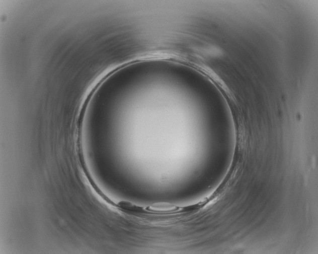 X0000080201484200612081415