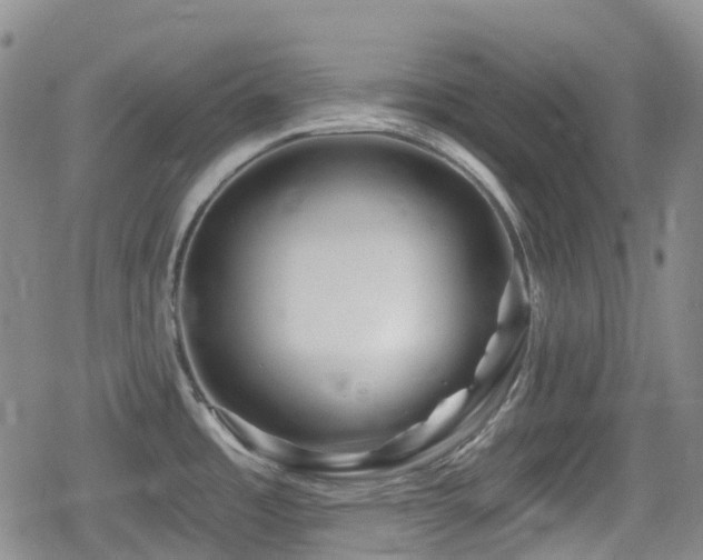 X0000080201485200612081415